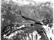 Pan Am Douglas DC-2 over the Andes Mountains, 1930s