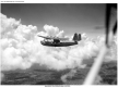 Pan Am Sikorsky S-42 in Flight